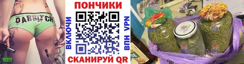 Канабис ГИДРОПОН  Калининград 